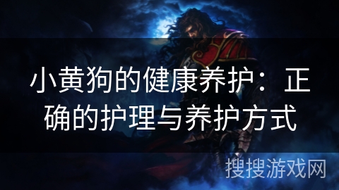 小黄狗的健康养护：正确的护理与养护方式