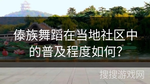 傣族舞蹈在当地社区中的普及程度如何？