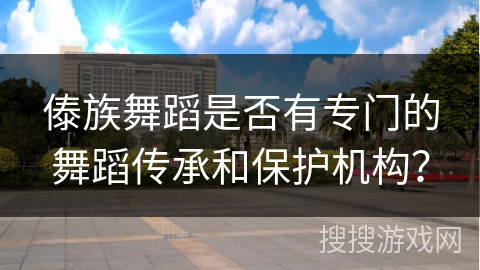 傣族舞蹈是否有专门的舞蹈传承和保护机构？