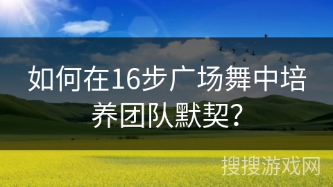 如何在16步广场舞中培养团队默契？