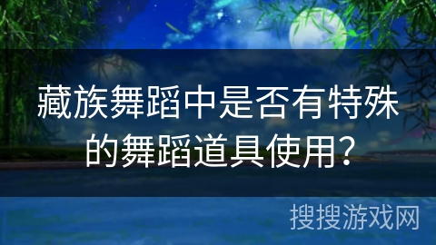藏族舞蹈中是否有特殊的舞蹈道具使用？