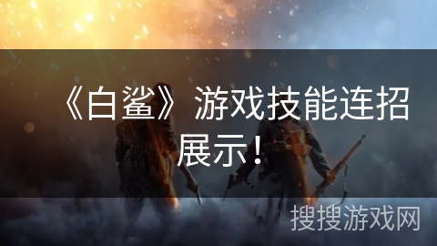 《白鲨》游戏技能连招展示！