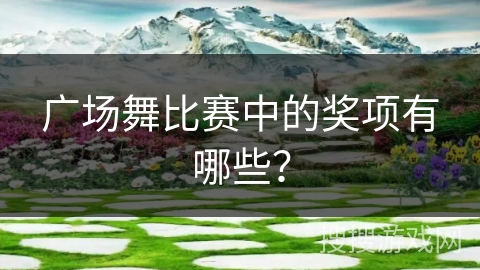 广场舞比赛中的奖项有哪些？