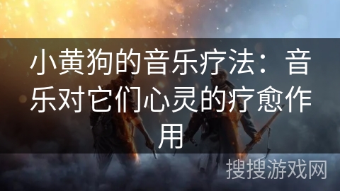 小黄狗的音乐疗法:音乐对它们心灵的疗愈作用 小黄狗的音乐疗法:音乐对它们心灵的疗愈作用