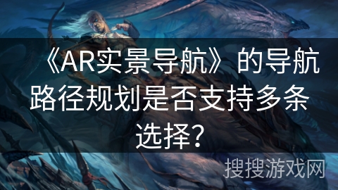 《AR实景导航》的导航路径规划是否支持多条选择？