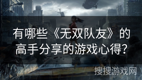 有哪些《无双队友》的高手分享的游戏心得？