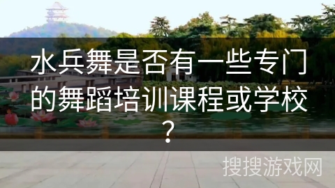 水兵舞是否有一些专门的舞蹈培训课程或学校？