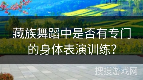 藏族舞蹈中是否有专门的身体表演训练？