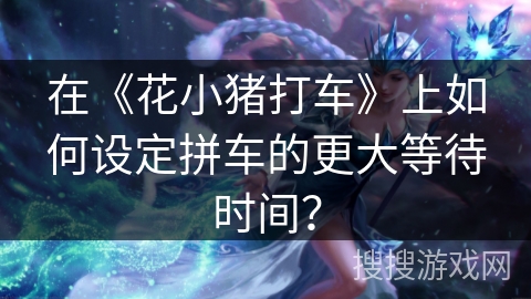 在《花小猪打车》上如何设定拼车的更大等待时间？