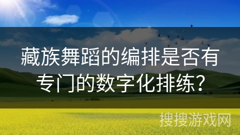 藏族舞蹈的编排是否有专门的数字化排练？