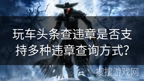 玩车头条查违章是否支持多种违章查询方式？
