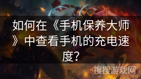 如何在《手机保养大师》中查看手机的充电速度？
