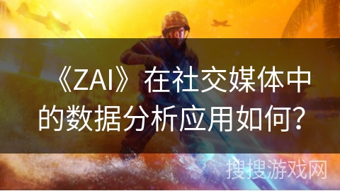 《ZAI》在社交媒体中的数据分析应用如何？