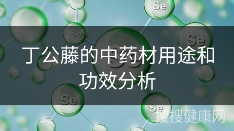 丁公藤的中药材用途和功效分析