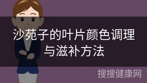 沙苑子的叶片颜色调理与滋补方法