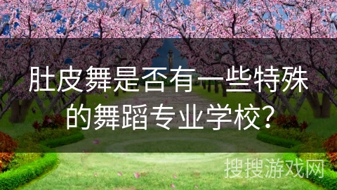 肚皮舞是否有一些特殊的舞蹈专业学校? 肚皮舞是否有一些特殊的舞蹈专业学校?