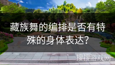 藏族舞的编排是否有特殊的身体表达？