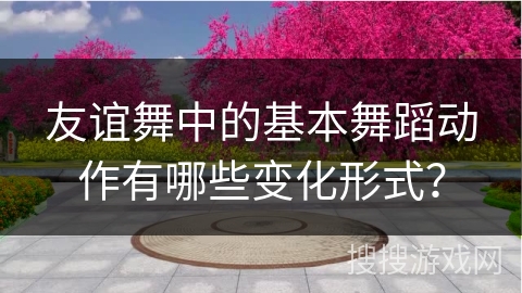 友谊舞中的基本舞蹈动作有哪些变化形式？