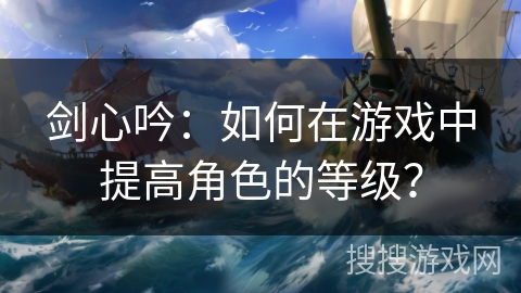 剑心吟：如何在游戏中提高角色的等级？