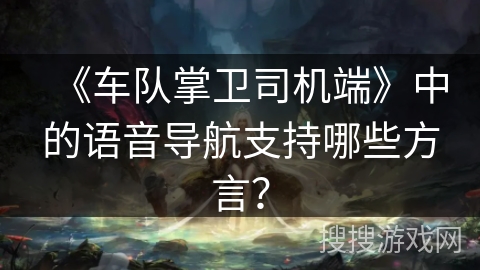 《车队掌卫司机端》中的语音导航支持哪些方言？