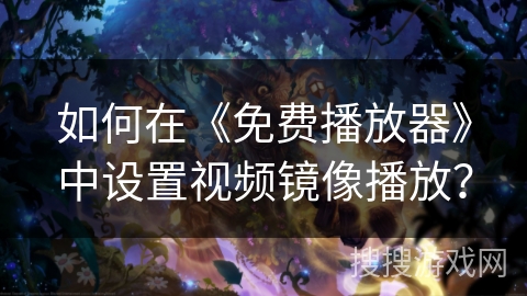 如何在《免费播放器》中设置视频镜像播放？