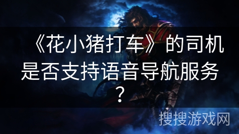 《花小猪打车》的司机是否支持语音导航服务？