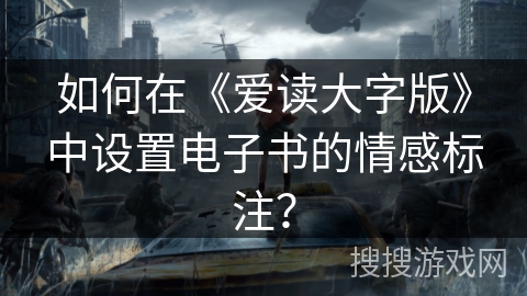 如何在《爱读大字版》中设置电子书的情感标注？