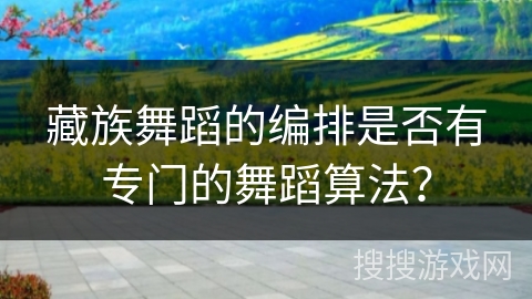 藏族舞蹈的编排是否有专门的舞蹈算法？
