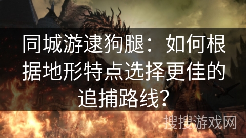 同城游逮狗腿：如何根据地形特点选择更佳的追捕路线？
