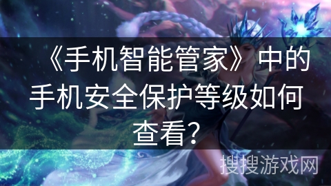 《手机智能管家》中的手机安全保护等级如何查看? 《手机智能管家》中的手机安全保护等级如何查看?