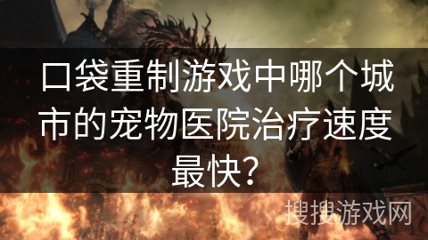 口袋重制游戏中哪个城市的宠物医院治疗速度最快？