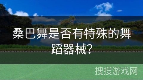 桑巴舞是否有特殊的舞蹈器械？