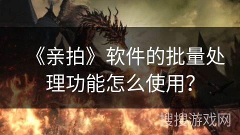 《亲拍》软件的批量处理功能怎么使用？