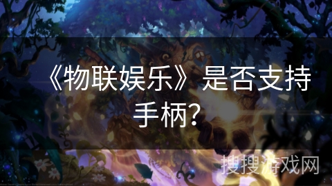 《物联娱乐》是否支持手柄? 《物联娱乐》是否支持手柄?