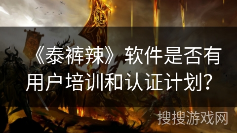 《泰裤辣》软件是否有用户培训和认证计划？