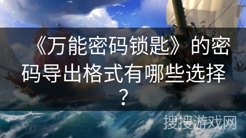 《万能密码锁匙》的密码导出格式有哪些选择？