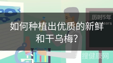 如何种植出优质的新鲜和干乌梅？