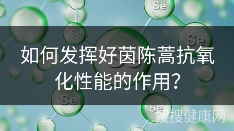 如何发挥好茵陈蒿抗氧化性能的作用？