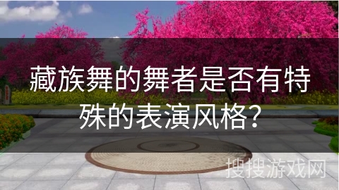 藏族舞的舞者是否有特殊的表演风格？