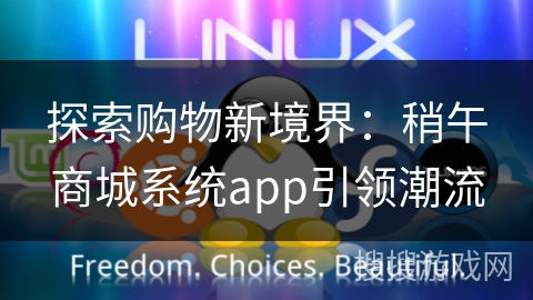 探索购物新境界：稍午商城系统app引领潮流