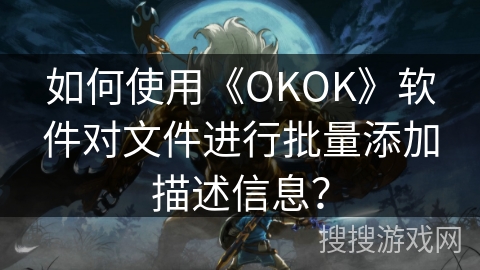 如何使用《OKOK》软件对文件进行批量添加描述信息？