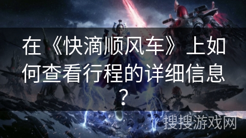 在《快滴顺风车》上如何查看行程的详细信息？