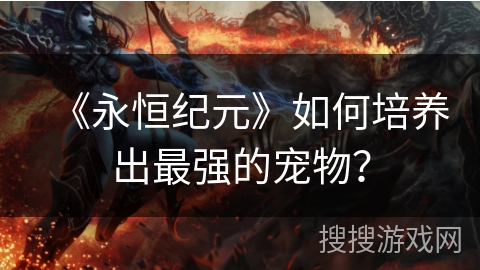 《永恒纪元》如何培养出最强的宠物？