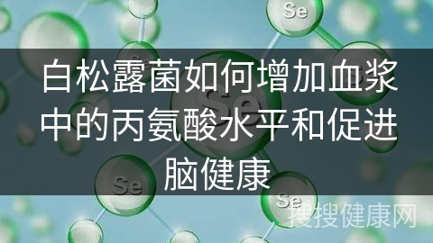 白松露菌如何增加血浆中的丙氨酸水平和促进脑健康