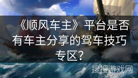《顺风车主》平台是否有车主分享的驾车技巧专区？