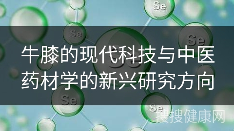 牛膝的现代科技与中医药材学的新兴研究方向