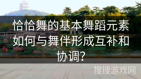 恰恰舞的基本舞蹈元素如何与舞伴形成互补和协调？