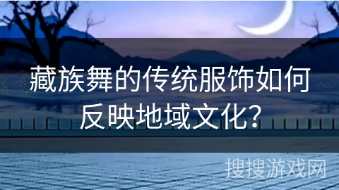 藏族舞的传统服饰如何反映地域文化？