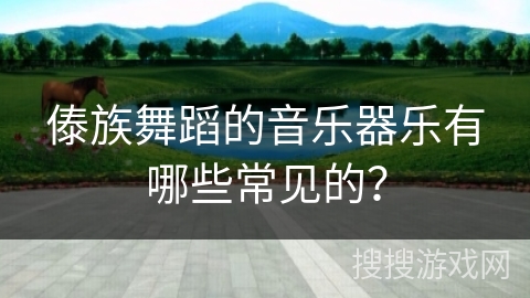 傣族舞蹈的音乐器乐有哪些常见的？
