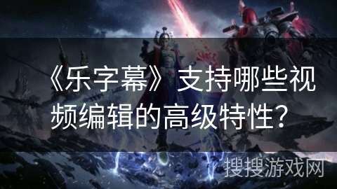 《乐字幕》支持哪些视频编辑的高级特性？